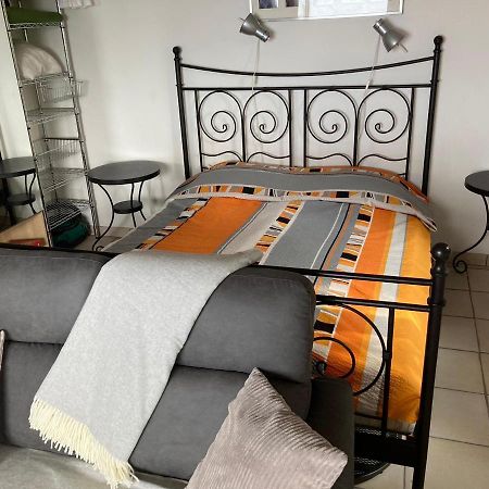 Casa Petra 1 1/2 Zi, Orgnana 83 Apartment Gambarogno Bagian luar foto