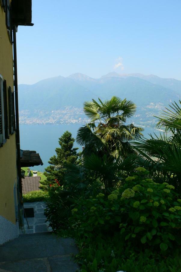 Casa Petra 1 1/2 Zi, Orgnana 83 Apartment Gambarogno Bagian luar foto