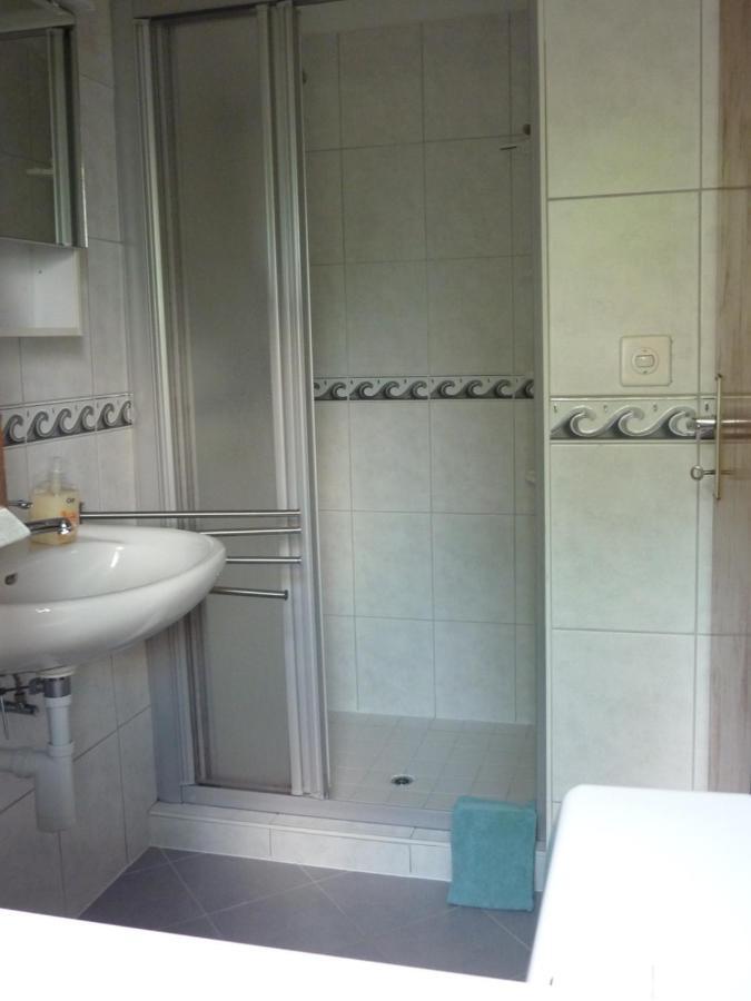 Casa Petra 1 1/2 Zi, Orgnana 83 Apartment Gambarogno Bagian luar foto