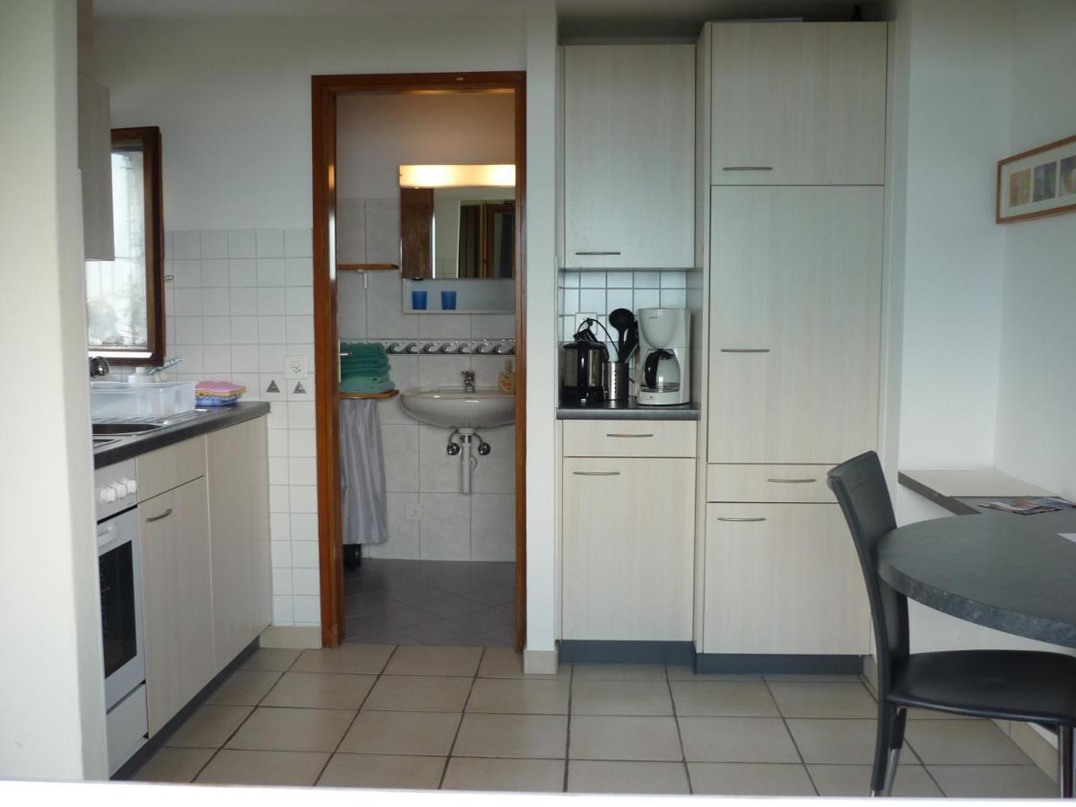 Casa Petra 1 1/2 Zi, Orgnana 83 Apartment Gambarogno Bagian luar foto